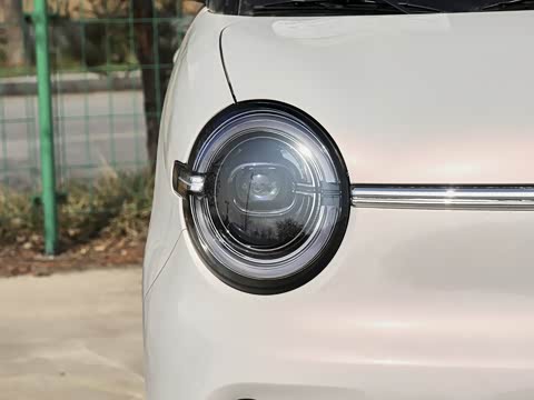 2026�� ����� 301km ���׿�