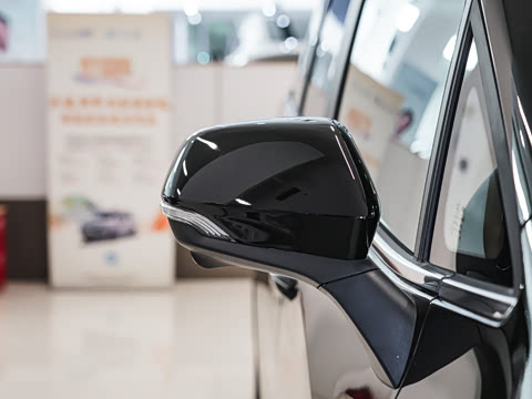 2025�� �Ŀ� �콢��