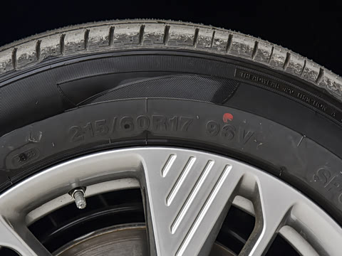 2025�� 445km ���ð�