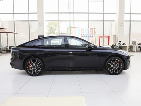 2025�� ���� 650MaxѲ����