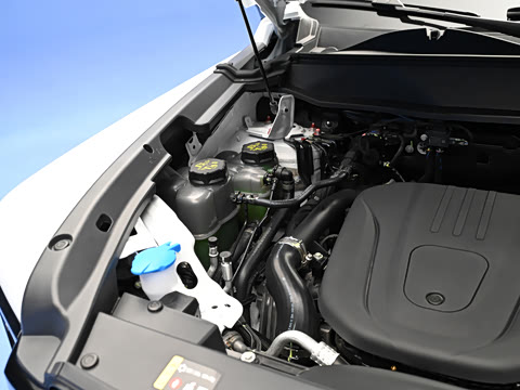 2026�� 255km ������