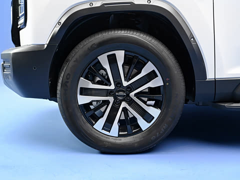 2026�� 255km ������