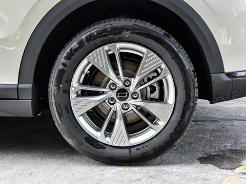 2025�� 565km ������