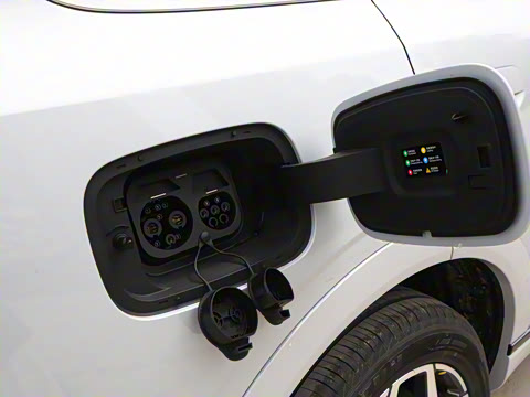 2026�� 121km ������ 5��