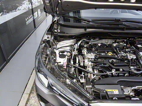 2026�� 2.0L ��Ӣ��