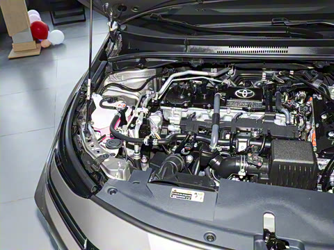 2026�� 1.8L ˫�� �ȷ��