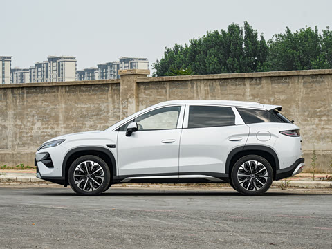 2026�� DM-i 310KM ׿Խ��