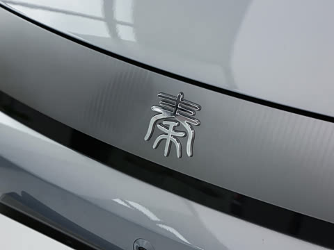 2026�� DM-i 230KM��Խ��