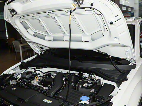 2026�� 300TSI DSG���������