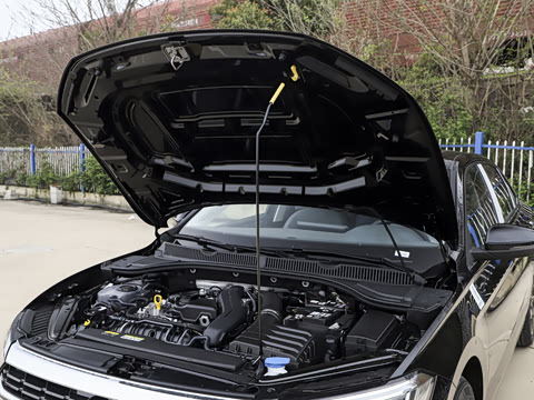 2026�� �Ŀ� 3000������ѡ�� 300TSI DSG ��Խ��