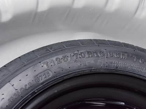 2026�� 300TSI DSG���а�