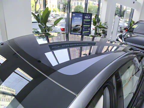 2025�� ���� 230ProѲ����