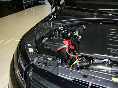 2026�� 250PS Dynamic SE