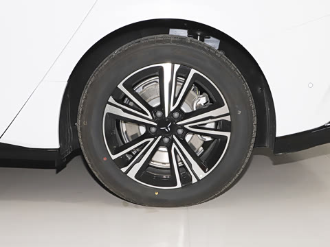 2025�� 600 ��ѡ��