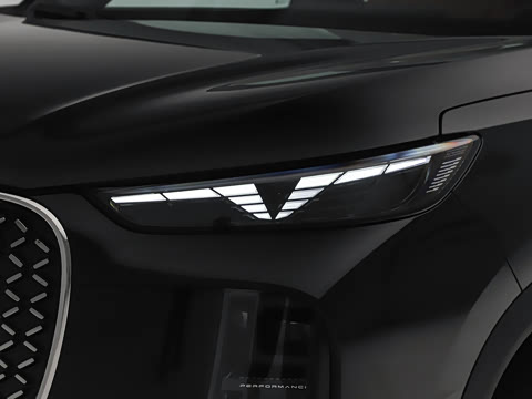 2027�� 310TGDI DCT �Ƿ��ھ���ӥ500��