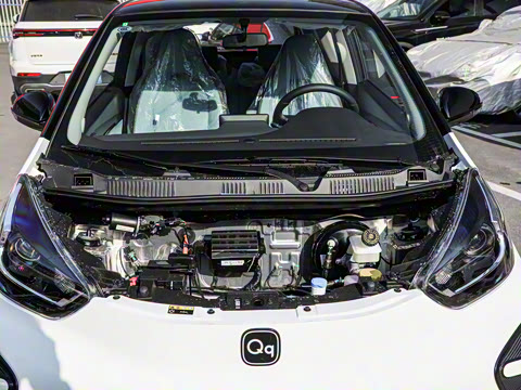 2026�� 271km �氮��