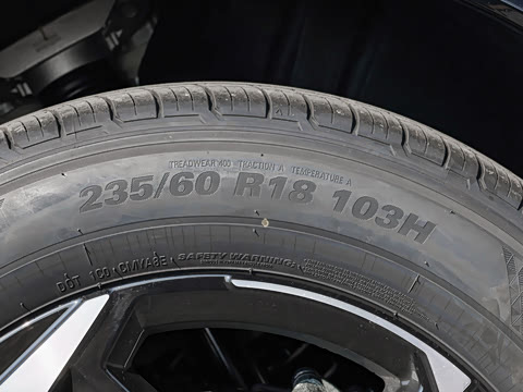 2026�� ����������