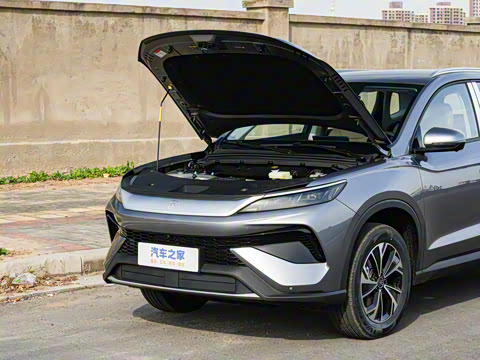 2026�� DM-i 133KM��ȡ��