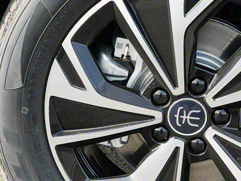 2026�� DM-i 133KM��ȡ��