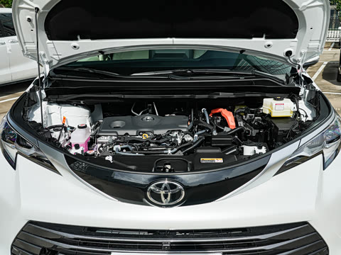 2026�� 2.5L ˫����������