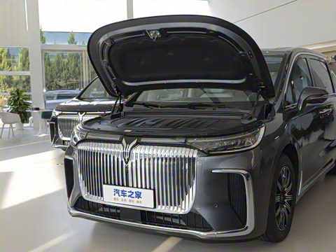 2025�� EV �������������