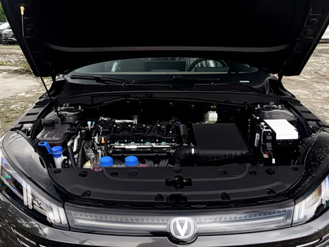 2026�� 1.5L �������� ������