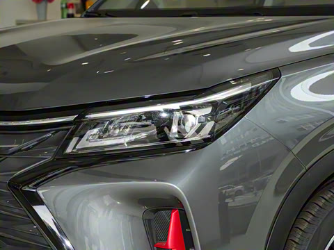 2025�� 1.5T �Զ������� 7��