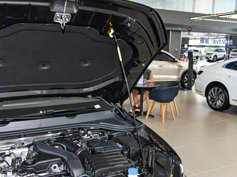 2026�� L 300TSI DSG ��Ӣ��