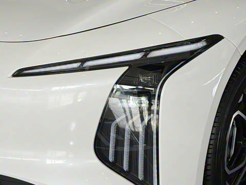 2026�� 565������