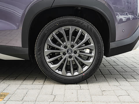 2026�� DM-i 205KM ��Խ��