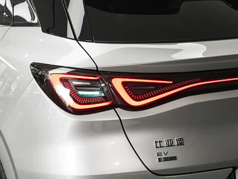 2026�� 620����Max��
