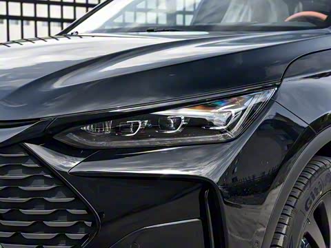 2025�� �Ǽݰ� DM-i 175KM ������