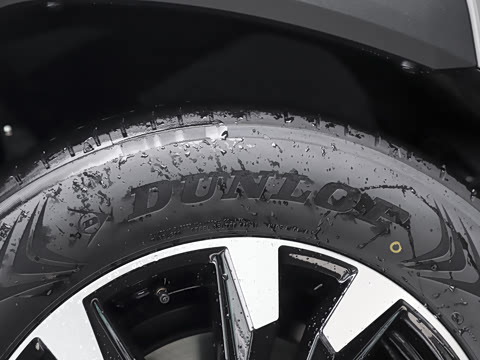 2026�� 2.0L ���ܵ��˫�� PRO