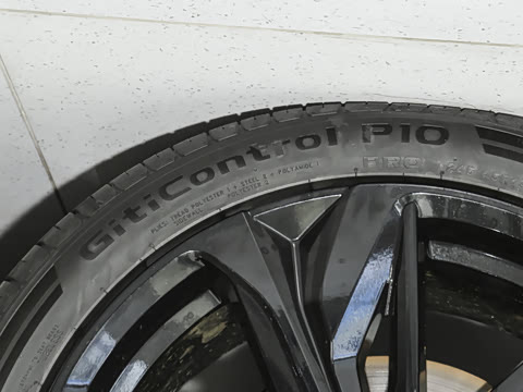 2025�� ����600�����˶���