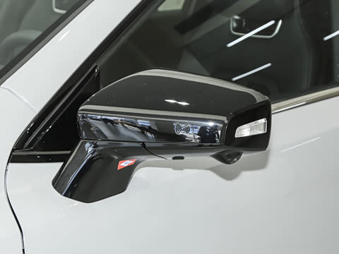 2025�� ����600�����˶���