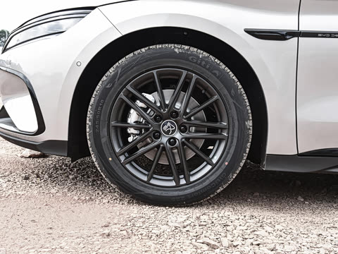 2025�� DM-i �Ǽݰ� 245KM�����