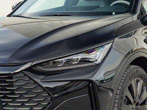 2025�� �Ǽݰ� DM-i 175KM �����