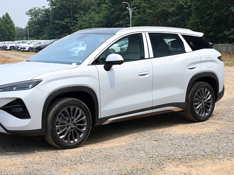2026�� DM-i 205KM ������