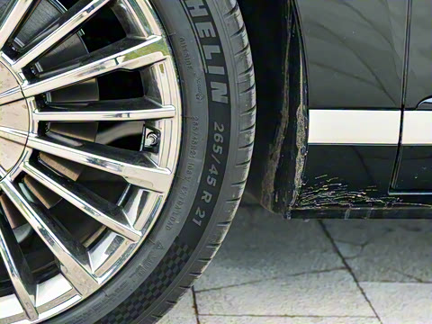 2025�� �Ŀ� 350 Max���������״��