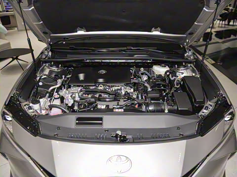 2026�� ˫�� 2.0HGVP ������