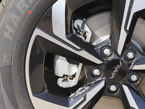 2026�� 530Խ����