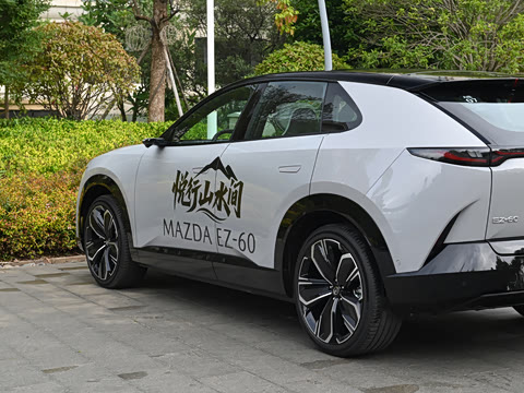 2025�� ����600 Max