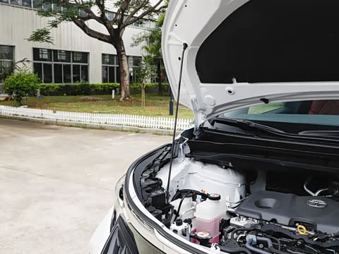 2026�� 2.5L ����׿��318��