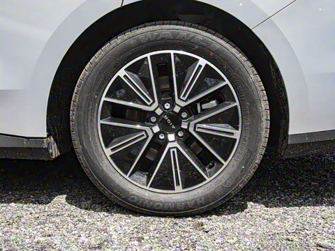 2026�� 520�Ǻ���