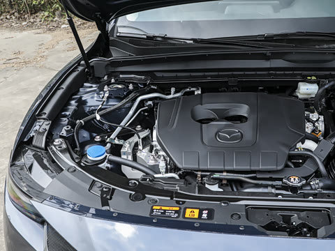 2026�� 2.5L ���а�