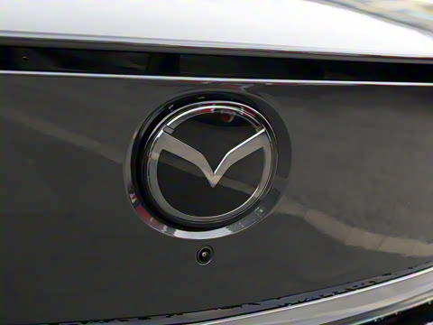 2025�� ����600 Max