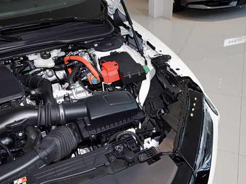 2026�� 2.0T EcoBoost E �춯 �˶���
