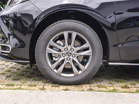 2026�� 2.5L ˫������������