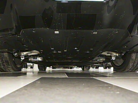 2026�� Max �����