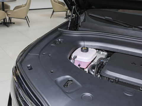 2026�� ���� Max������ 5��